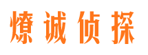 陆川婚外情调查取证